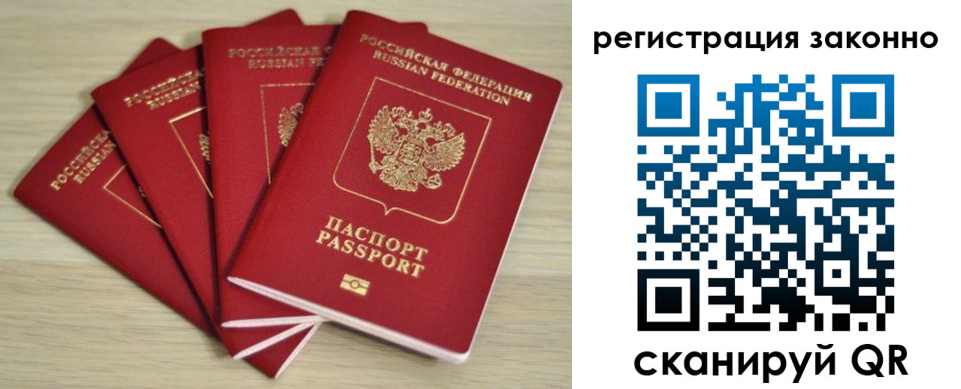 прописка в Бабаево
